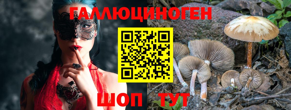 Псилоцибиновые грибы прущие грибы Большой Камень