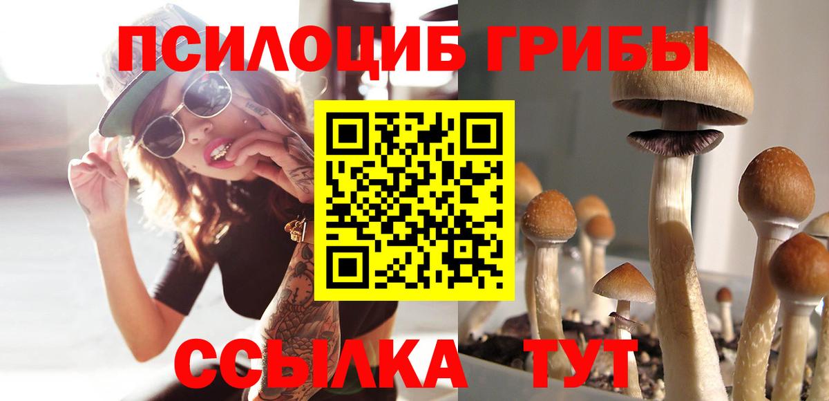 Галлюциногенные грибы мицелий  Вход с VPN  Большой Камень 